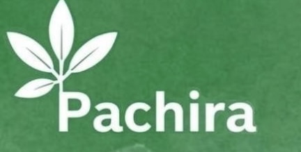 株式会社Pachiraのロゴ